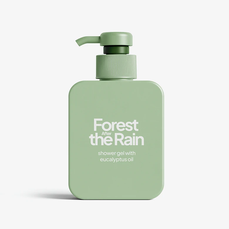 Forest After the Rain